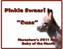Marestare's May Foal of Month 2011!